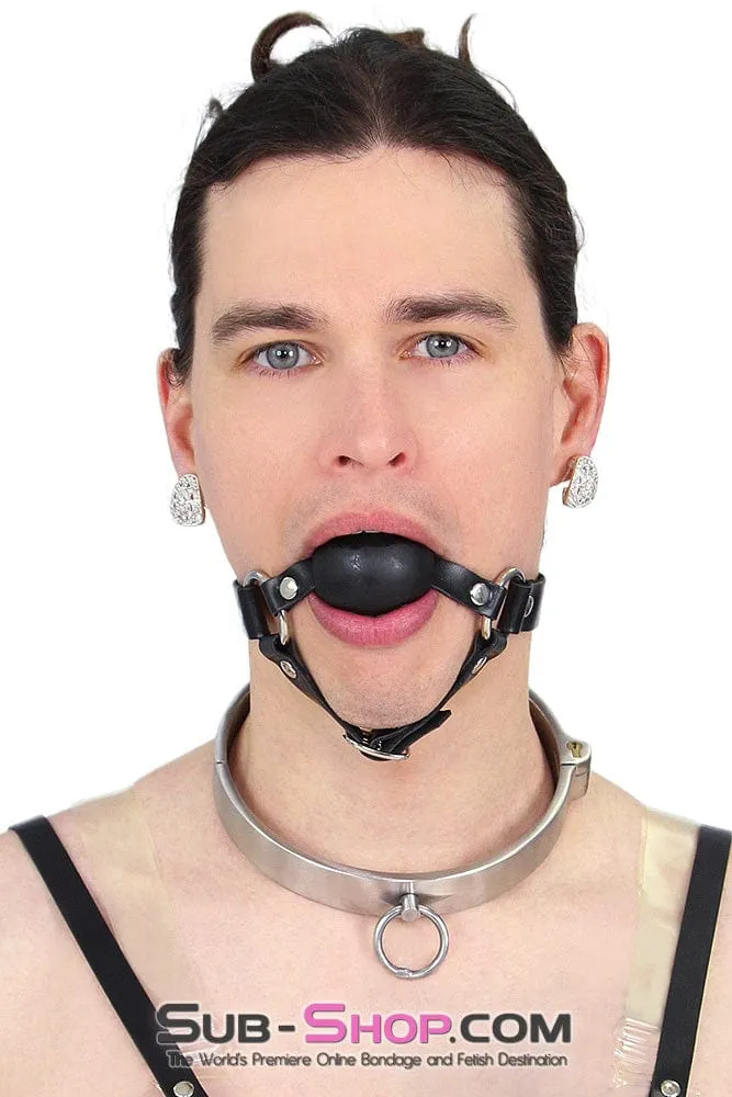 0634AR-SIS      Stainless Steel Lock Domme and Keys Sissy Boi Bondage Slave Collar