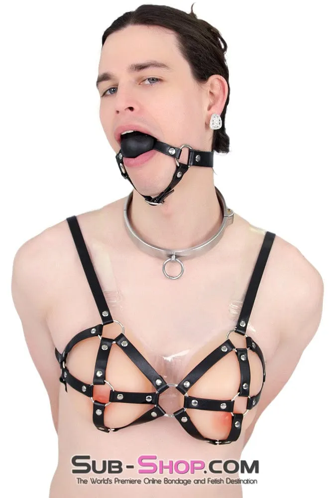 0634AR-SIS      Stainless Steel Lock Domme and Keys Sissy Boi Bondage Slave Collar