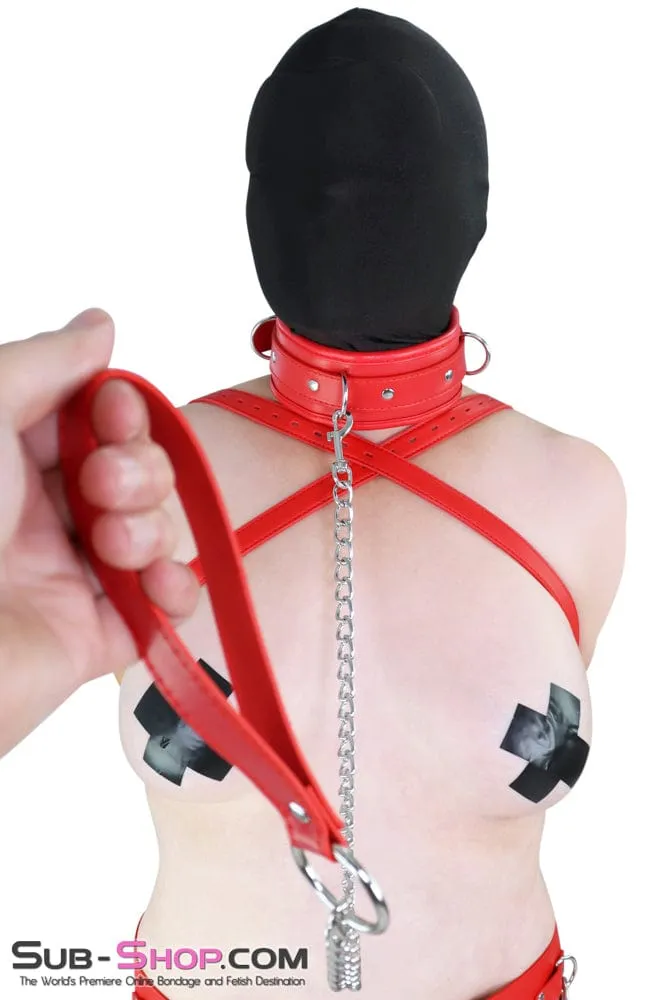 2497MQ      Locking Padded Red Collar and Leash Set