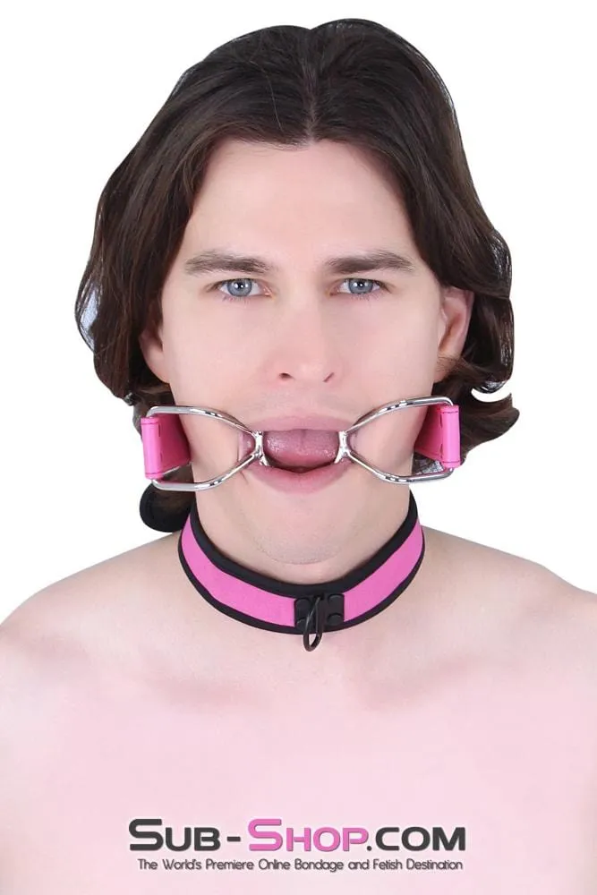 2610MQ-SIS      Pretty Boi Sissy Pink Sissy Mistress Neoprene Lined Soft Bondage Play Collar