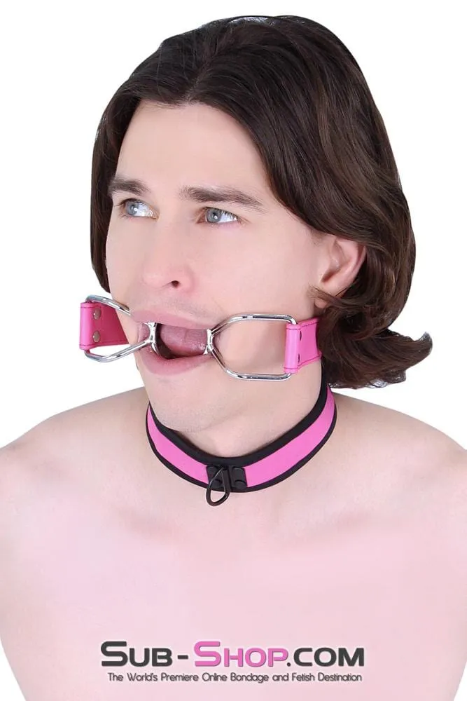 2610MQ-SIS      Pretty Boi Sissy Pink Sissy Mistress Neoprene Lined Soft Bondage Play Collar