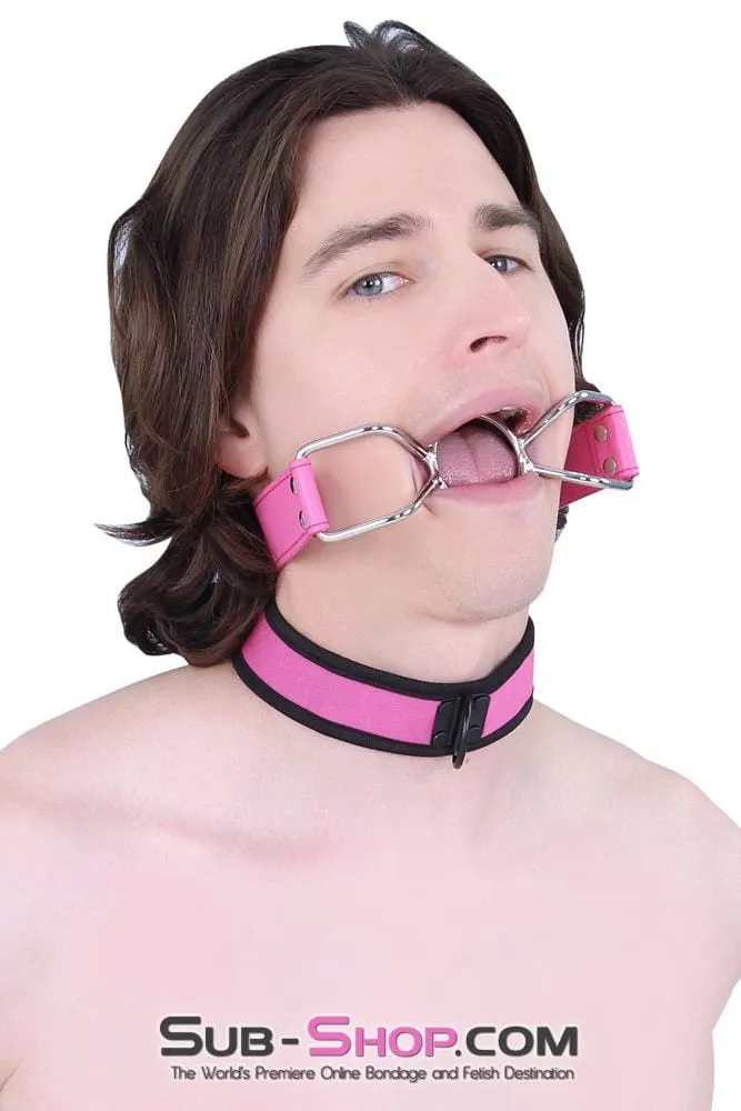 2610MQ-SIS      Pretty Boi Sissy Pink Sissy Mistress Neoprene Lined Soft Bondage Play Collar