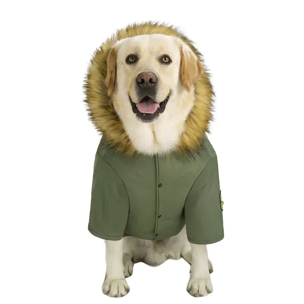 ArcticPaw Hoodie