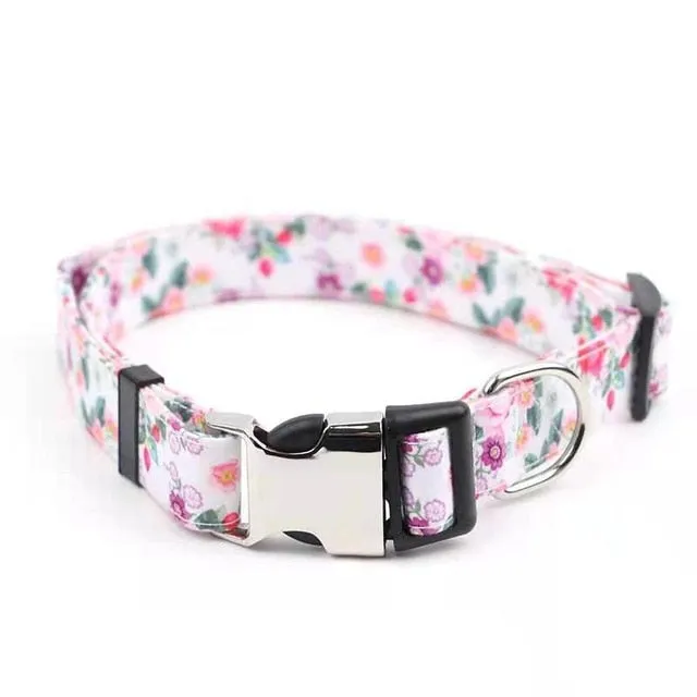 Designer Personalized Custom Collar