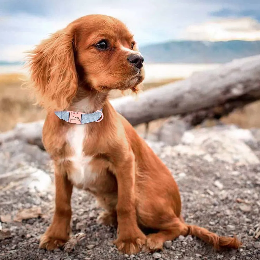 English Breakfast Custom Collar