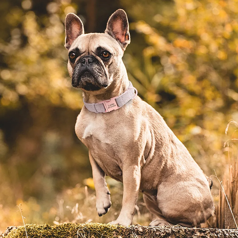 English Breakfast Custom Collar