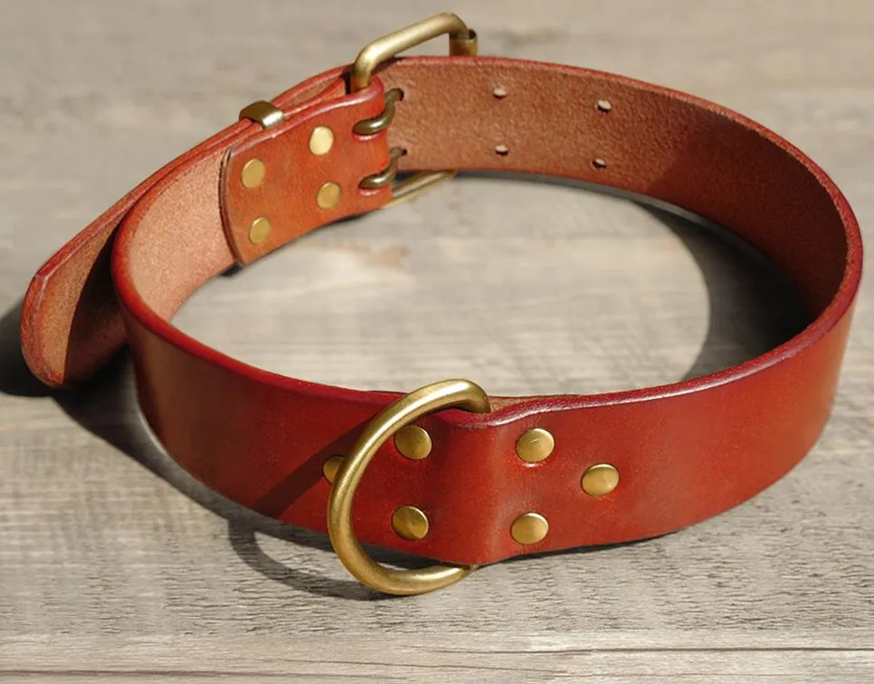 Genuine Leather Dog Collar with quality strong brass D-Ring and Buckle S/M/L/XL Brown & Black