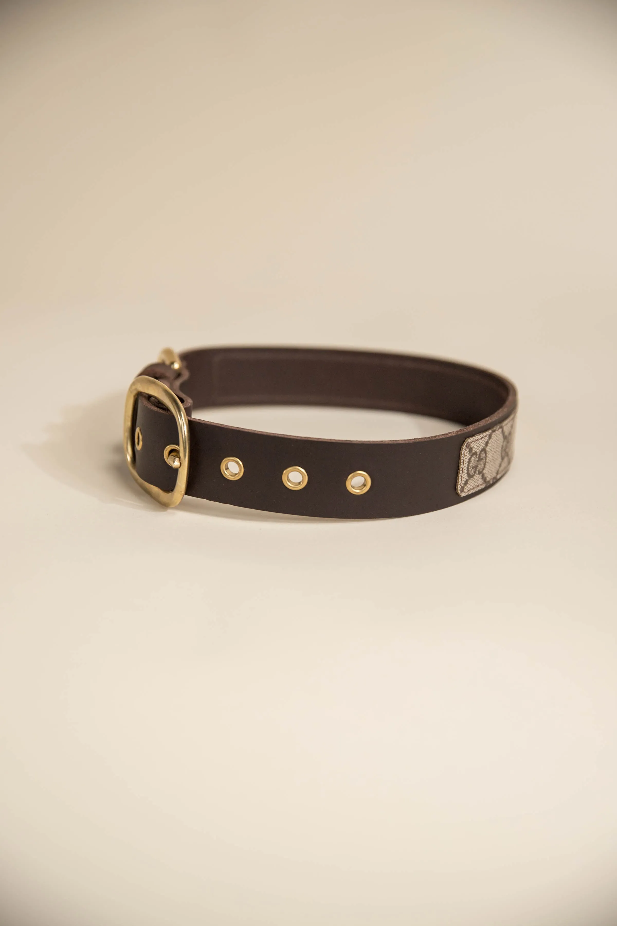 GG Dog Collar