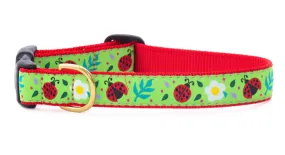 Ladybug Dog Collar