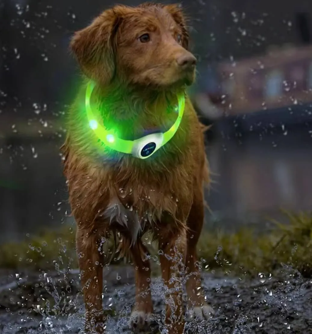 LaRoo Rechargeable Waterproof Led Light Collar For Long-haired Dogs