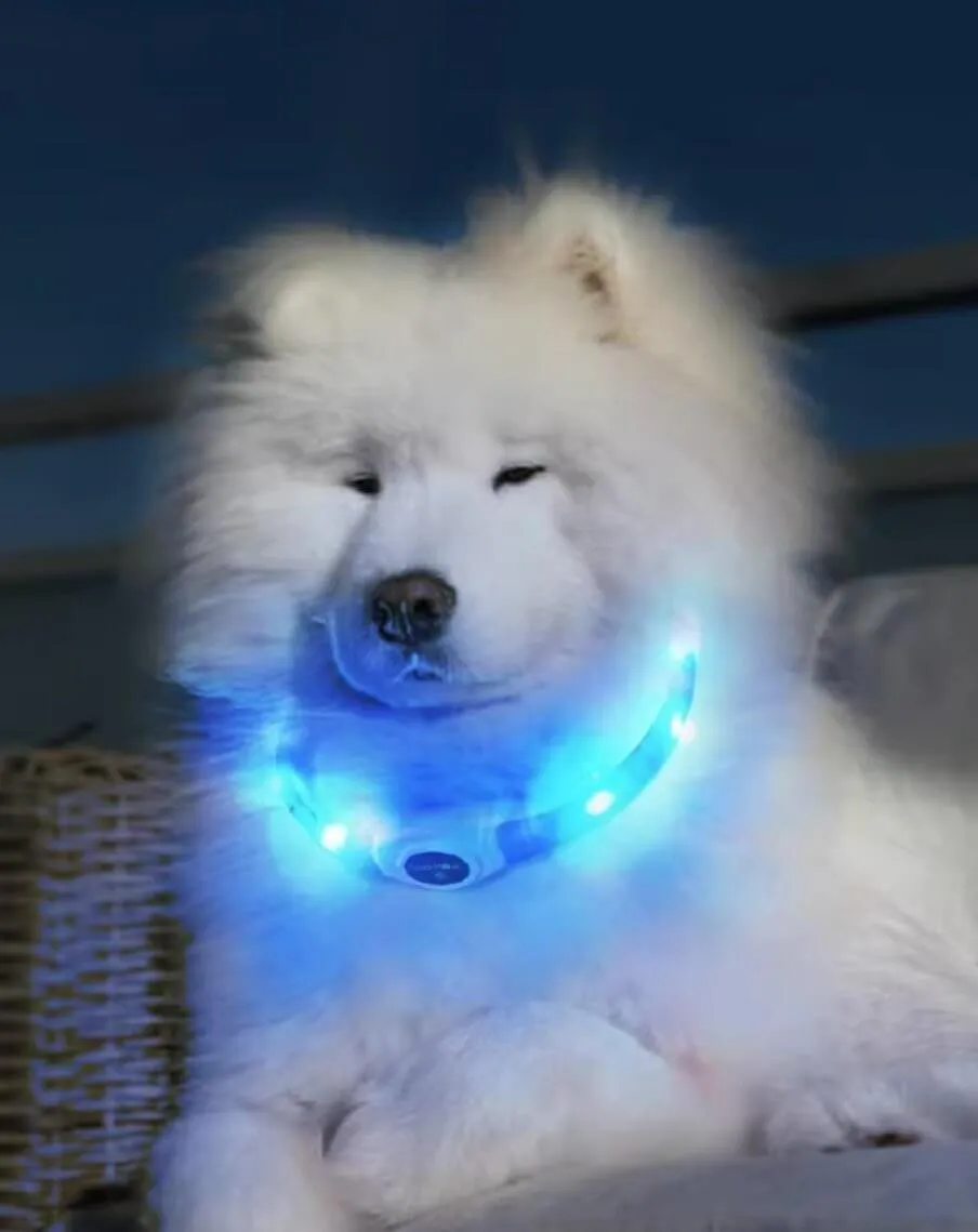 LaRoo Rechargeable Waterproof Led Light Collar For Long-haired Dogs