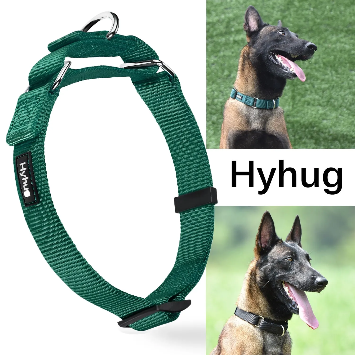 Martingale Collar