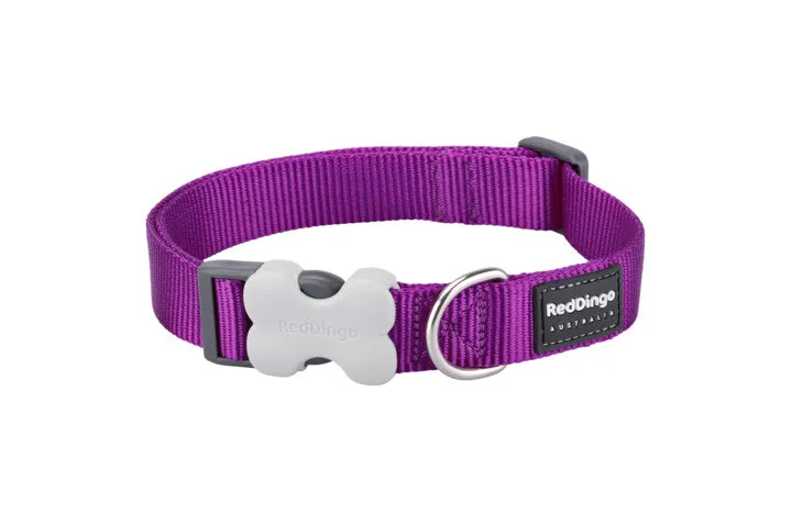 Red Dingo Collar Purple Large 25mm